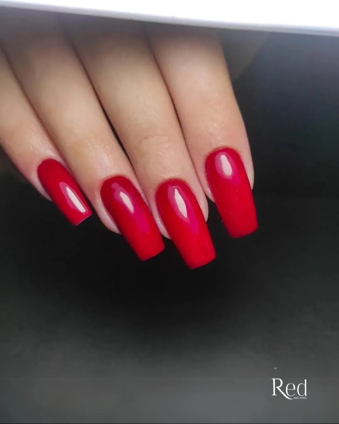 444458166_2683821988461618_6203420535764391721_n