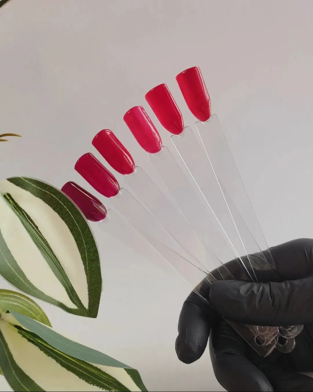 447950242_2683383685161661_6570140977511343004_n