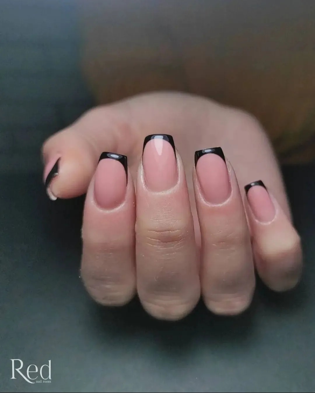 448147561_1168644557716101_2655975545102965685_n